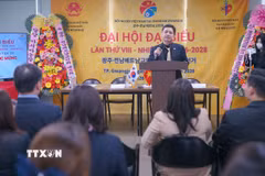 Ông An Vũ Bình, Bí thư thứ hai Đại sứ quán Việt Nam tại Hàn Quốc, phát biểu tại Đại hội. (Ảnh: Đức Thắng/TTXVN)