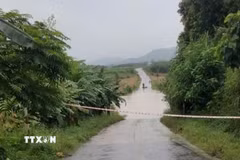 Ảnh minh họa. (Ảnh: TTXVN phát)