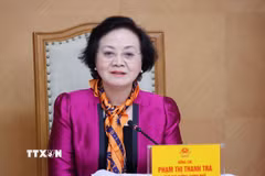 Phó Thủ tướng Phạm Thị Thanh Trà phát biểu chỉ đạo. (Ảnh: Văn Điệp/TTXVN)