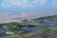 Dự án điện gió ngoài khơi ở xã Đông Hải, tỉnh Cà Mau. (Ảnh: Tuấn Phi/TTXVN)