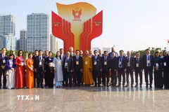 Đoàn đại biểu kiều bào tham dự Đại hội Thi đua yêu nước toàn quốc lần thứ XI. (Ảnh: Diệp Trương/TTXVN)