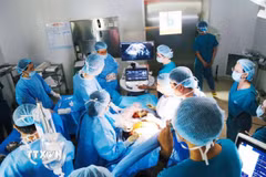 Các bác sỹ Bệnh viện Từ Dũ phối hợp cùng Bệnh viện Nhi đồng 1 Thành phố Hồ Chí Minh thực hiện can thiệp thông tim bào thai. (Ảnh: TTXVN phát)