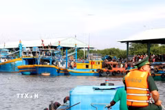 Đồn Biên phòng Thanh Hải (phường Phú Thủy, tỉnh Lâm Đồng) tuần tra, kiểm soát tàu cá ra vào cảng. (Ảnh: Nguyễn Thanh/TTXVN)