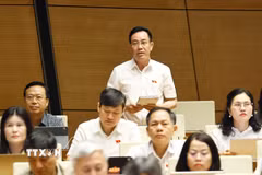 Đại biểu Quốc hội tỉnh Hưng Yên Nguyễn Văn Huy phát biểu. (Ảnh: Doãn Tấn/TTXVN)