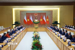 Thủ tướng Lê Minh Hưng và Thủ tướng Cộng hòa Ba Lan Donald Tusk hội đàm. (Ảnh: Dương Giang/TTXVN)