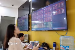 Khách hàng giao dịch tại một công ty chứng khoán. (Ảnh: Trần Việt/TTXVN)