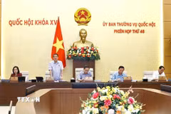 Phó Chủ tịch Quốc hội Nguyễn Đức Hải phát biểu. (Ảnh: Doãn Tấn/TTXVN)