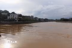 Ảnh minh họa. (Nguồn: TTXVN)