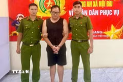 Đối tượng Nguyễn Tiến Dũng tại cơ quan Công an. (Ảnh: TTXVN phát)