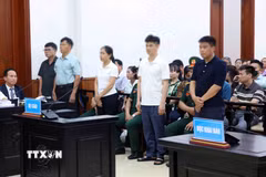 Các bị cáo tại phiên xét xử phúc thẩm vụ án liên quan đến Tập đoàn Phúc Sơn, hôm 29/6. (Ảnh: Phạm Kiên/TTXVN)
