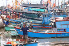 Ngư dân chủ động neo đậu tàu thuyền tránh bão. (Ảnh minh họa: Công Thử/TTXVN)
