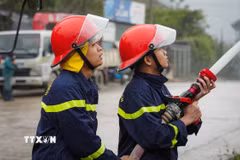 (Ảnh minh họa: Đức Phương/TTXVN)
