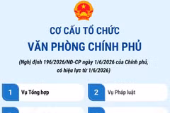 Cơ cấu tổ chức Văn phòng Chính phủ từ 1/6/2026