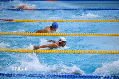 Đoàn Việt Nam kỳ vọng giành HCV ở môn bơi tại Asian Para Games 2026. (Ảnh TTXVN phát)
