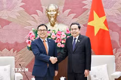 Chủ tịch Quốc hội Trần Thanh Mẫn tiếp Đại sứ Hàn Quốc tại Việt Nam Choi Young Sam. (Ảnh: Doãn Tấn/TTXVN)