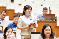 Đại biểu Quốc hội tỉnh Quảng Ninh Nguyễn Thị Thu Hà phát biểu. (Ảnh: Doãn Tấn/TTXVN)