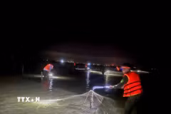 Các lực lượng chức năng phường Móng Cái 3 đồng loạt ra quân thực hiện đợt cao điểm xử lý vi phạm nuôi trồng thủy sản, quyết tâm lập lại kỷ cương không gian biển. (Ảnh: TTXVN phát)