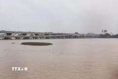 Sông Đồng Nai đoạn qua cầu Hóa An, thành phố Đồng Nai. (Ảnh: Công Phong/TTXVN)