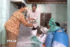 Hộ gia đình ông Phan Tấn Hùng (thôn Phú Hữu, xã Hòa Thịnh, tỉnh Đắk Lắk) bỏ lúa gạo vào túi ni lông để di chuyển lên cao đầu mùa mưa bão. (Ảnh: Tường Quân/TTXVN)