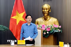 Phó Thủ tướng Hồ Quốc Dũng phát biểu chỉ đạo tại cuộc họp. (Ảnh: Diệp Trương/TTXVN)