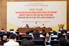 Quang cảnh phiên họp. (Ảnh: Doãn Tấn/TTXVN)