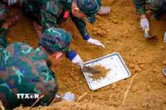 Cán bộ, chiến sĩ Đội K71, Bộ Chỉ huy Quân sự tỉnh Tây Ninh tiến hành đào tìm, quy tập hài cốt liệt sỹ tại khu vực được xác định có thông tin về mộ liệt sỹ. (Ảnh: Minh Phú - TTXVN)