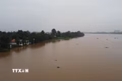 Cảnh báo lũ trên sông Đồng Nai nguy cơ gây ngập lụt vùng trũng, thấp và sạt lở bờ sông. (Ảnh: Sỹ Tuyên/TTXVN)