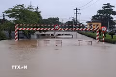 Cầu Lòn, đường Bùi Thị Xuân, phường Thuận Hóa, thành phố Huế bị ngập sâu sáng 27/10/2025. (Ảnh: Nguyên Lý/TTXVN)