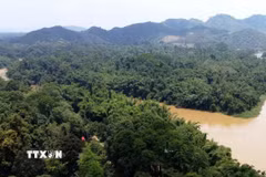Khu cứu hộ linh trưởng tại Đảo Tiên (được bao quanh bởi sông Đồng Nai) thuộc Trung tâm Cứu hộ, Bảo tồn và Phát triển sinh vật, Vườn Quốc gia Cát Tiên, nơi đang chăm sóc, cứu hộ hàng chục cá thể linh trưởng nguy cấp. (Ảnh: Sỹ Tuyên/TTXVN)