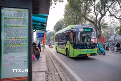Ảnh minh họa. (Ảnh: Phạm Tuấn Anh/TTXVN)