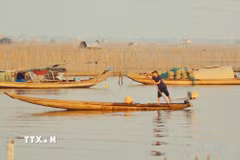 Vẻ đẹp bình yên của nhịp sống trên phá Tam Giang vào lúc bình minh. (Ảnh: Văn Dũng/TTXVN)