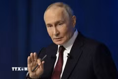 Tổng thống Nga Vladimir Putin gọi lệnh trừng phạt của Berlin là “sai lầm nghiêm trọng.” (Ảnh minh họa: AA/TTXVN)