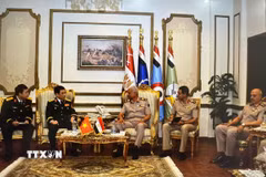 Đại tướng Phan Văn Giang, Bộ trưởng Bộ Quốc phòng hội kiến Đại tướng Abdel Mageed Saqr, Bộ trưởng Bộ Quốc phòng Ai Cập. (Ảnh: TTXVN phát)