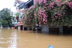 Đến ngày 30/9, nhiều hộ dân ở Lào Cai bị ngập sâu tới 3m. (Ảnh: Tuấn Anh/TTXVN)