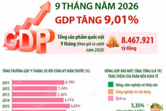 9 tháng năm 2026: GDP tăng 9,01% so với cùng kỳ năm trước