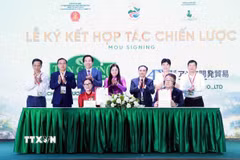 Ký kết hợp tác giữa các doanh nghiệp chè Thái Nguyên về phát triển, tiêu thụ sản phẩm trà. (Ảnh: Trần Trang/TTXVN)