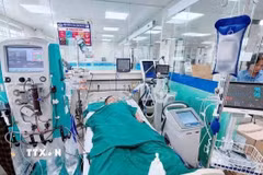 Bệnh nhân được cấp cứu tại Khoa Hồi sức tích cực-Chống độc yêu cầu, Bệnh viện Đa khoa tỉnh Phú Thọ. (Ảnh: TTXVN phát)