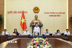 Chủ tịch Quốc hội Trần Thanh Mẫn phát biểu khai mạc Phiên họp. (Ảnh: Doãn Tấn/TTXVN)