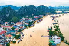 Khu vực thôn Kênh Gà, xã Gia Viễn, tỉnh Ninh Bình vẫn ngập sâu sau mưa lũ. (Ảnh: Thùy Dung/TTXVN)