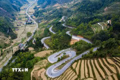 Dốc chín khoanh nằm trên Quốc lộ 4C hay "Con đường Hạnh Phúc." (Ảnh: Nam Thái/TTXVN)