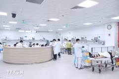 Việc ký kết hợp đồng đối với vị trí việc làm chuyên môn, nghiệp vụ và vị trí việc làm hỗ trợ do người đứng đầu đơn vị sự nghiệp công lập quyết định. (Ảnh minh họa: TTXVN)