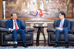 Bộ trưởng Nguyễn Văn Hùng gợi mở ý tưởng tổ chức hoạt động văn hóa, thể thao, du lịch nhân kỷ niệm 50 năm thiết lập quan hệ ngoại giao Việt Nam-Thái Lan vào năm 2026. (Ảnh: TTXVN phát)