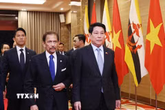 Chủ tịch nước Lương Cường đón Quốc vương Brunei Darussalam Haji Hassanal Bolkiah dự tiệc chiêu đãi. (Ảnh: Lâm Khánh/TTXVN)
