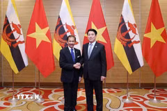 Chủ tịch nước Lương Cường đón Quốc vương Brunei Darussalam Haji Hassanal Bolkiah dự tiệc chiêu đãi. (Ảnh: Lâm Khánh/TTXVN)