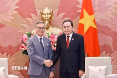 Chủ tịch Quốc hội Trần Thanh Mẫn tiếp Bộ trưởng Ngoại giao Lào Thongsavanh Phomvihane. (Ảnh: Doãn Tấn/TTXVN)