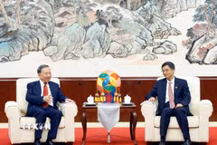 Tổng Bí thư, Chủ tịch nước Tô Lâm tiếp đồng chí Trần Cương, Ủy viên Trung ương Đảng, Bí thư khu ủy Khu tự trị dân tộc Choang Quảng Tây. (Ảnh: Thống Nhất/TTXVN)