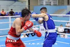 Boxing hứa hẹn giúp Việt Nam giành nhiều HCV. (Ảnh: Hoài Thu/TTXVN)