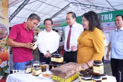 Chủ thể OCOP giới thiệu, trao đổi về sản phẩm nông nghiệp đặc trưng được trưng bày tại Lễ hội. (Ảnh: Minh Phú/TTXVN)