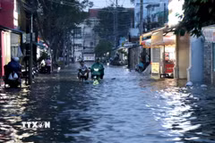 Mưa lớn kết hợp với triều cường gây ngập trên tuyến đường Nguyễn Thái Học ở phường Long Châu, tỉnh Vĩnh Long. (Ảnh: Lê Thúy Hằng/TTXVN)