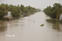 El Nino ảnh hưởng tới công nghiệp, năng lượng, gây nắng nóng, hạn hán kéo dài, xâm nhập mặn, thiếu nước... (Ảnh: Thu Hiền/TTXVN)